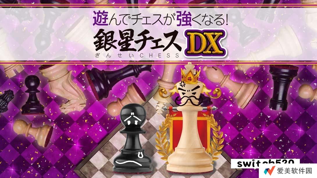 【日版】下棋变得变强! 银星国际象棋DX .遊んでチェスが強くなる！ 銀星チェスDX 日语_0