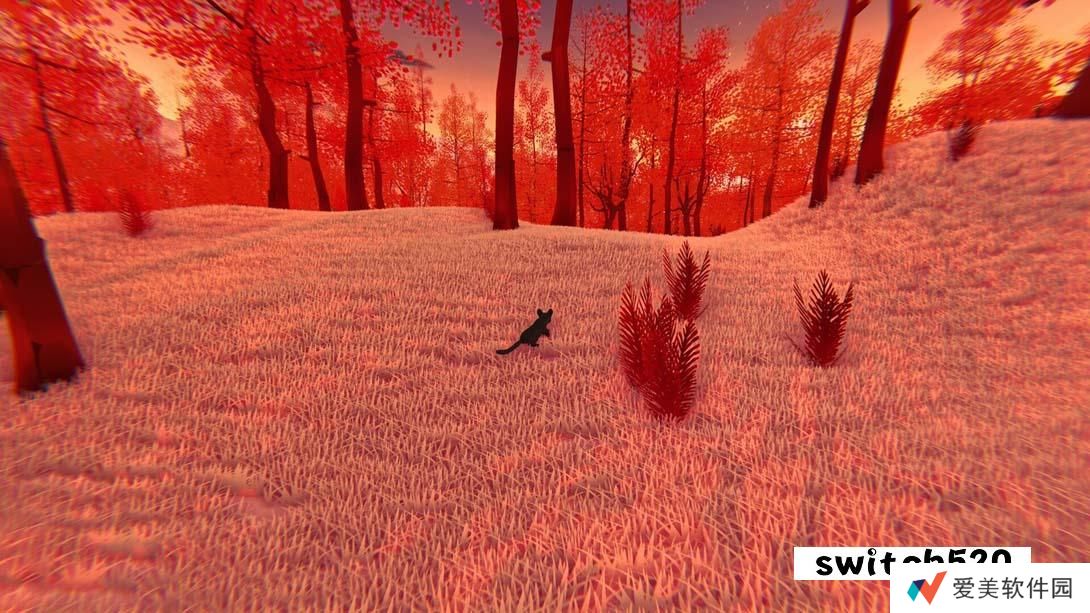 【美版】遗失的字条 .A Lost Note 英语_1