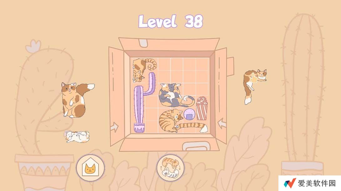 【美版】盒中猫 .Cats in Boxes 中文_5