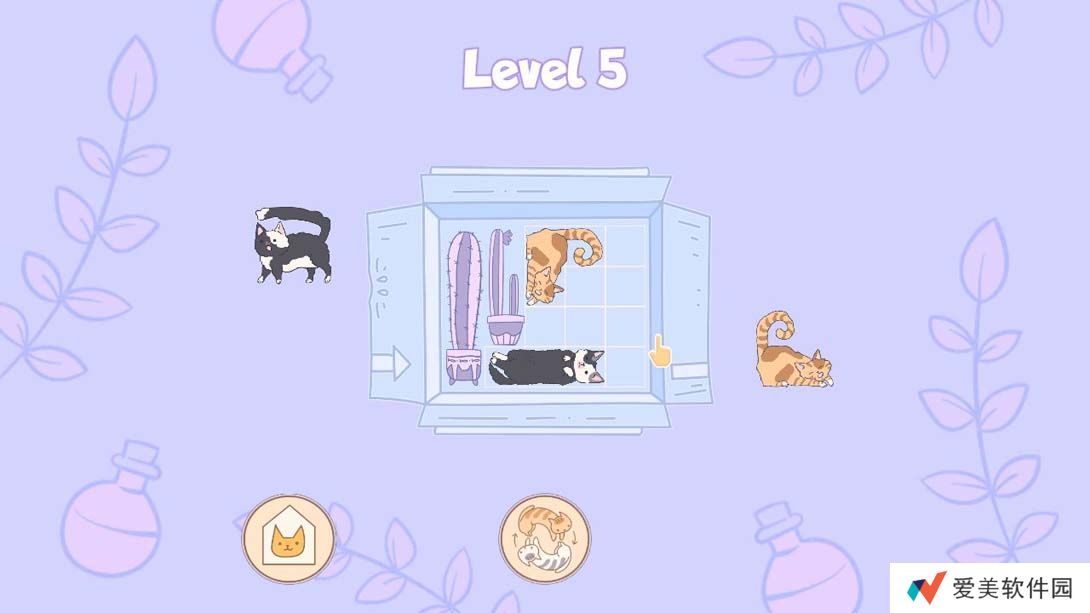 【美版】盒中猫 .Cats in Boxes 中文_6