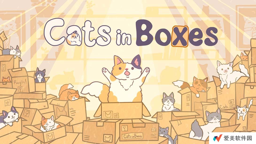 【美版】盒中猫 .Cats in Boxes 中文_0