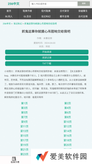 256中文小说阅读下载官方版