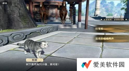 天涯明月刀手游猫之友奇遇怎么触发