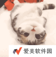 小猫咪能有什么坏心眼呢表情包-小猫咪能有什么坏心眼呢表情包高清版