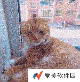 小猫咪能有什么坏心眼呢表情包-小猫咪能有什么坏心眼呢表情包高清版