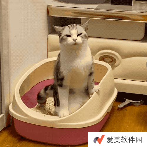 小猫咪能有什么坏心眼呢表情包-小猫咪能有什么坏心眼呢表情包高清版