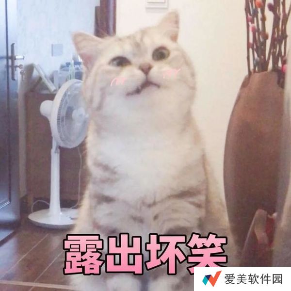小猫咪能有什么坏心眼呢表情包-小猫咪能有什么坏心眼呢表情包高清版