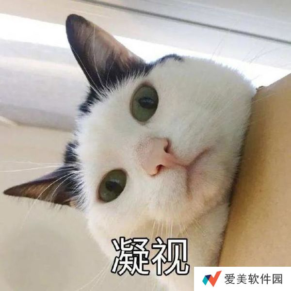 小猫咪能有什么坏心眼呢表情包-小猫咪能有什么坏心眼呢表情包高清版
