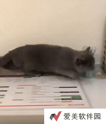 小猫咪能有什么坏心眼呢表情包-小猫咪能有什么坏心眼呢表情包高清版