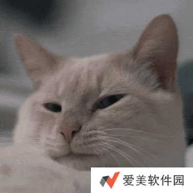 小猫咪能有什么坏心眼呢表情包-小猫咪能有什么坏心眼呢表情包高清版