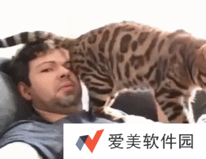 小猫咪能有什么坏心眼呢表情包-小猫咪能有什么坏心眼呢表情包高清版