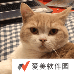 小猫咪能有什么坏心眼呢表情包-小猫咪能有什么坏心眼呢表情包高清版