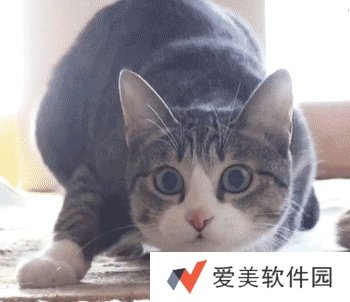 小猫咪能有什么坏心眼呢表情包-小猫咪能有什么坏心眼呢表情包高清版