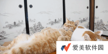 小猫咪能有什么坏心眼呢表情包-小猫咪能有什么坏心眼呢表情包高清版