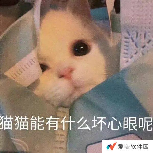 小猫咪能有什么坏心眼呢表情包-小猫咪能有什么坏心眼呢表情包高清版