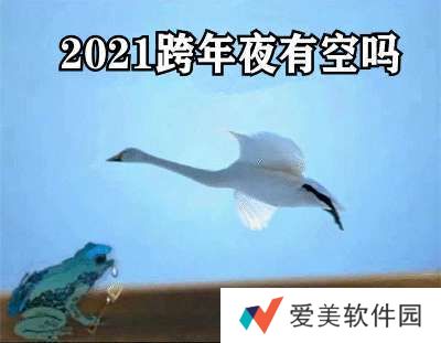 2021跨年夜有空吗表情包-癞**天鹅我也没空那我飞走了表情包高清完整版