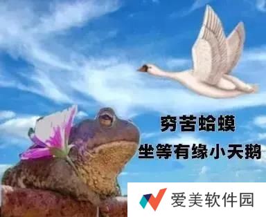 小天鹅我馋你了表情包-小天鹅我馋你了表情包高清完整版