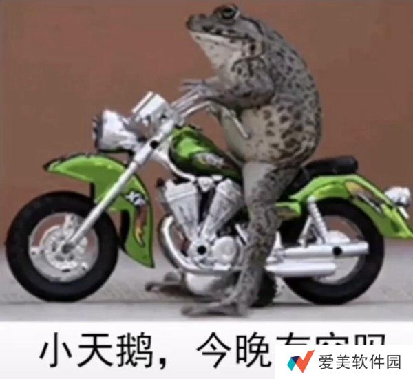 小天鹅我馋你了表情包-小天鹅我馋你了表情包高清完整版