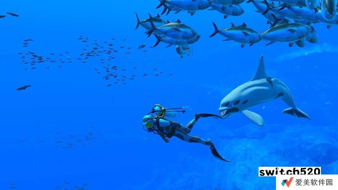 【美版】永恒蔚蓝 流光 .Endless Ocean ~ luminous ~ 中文_4