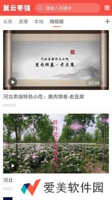 冀云枣强最新版